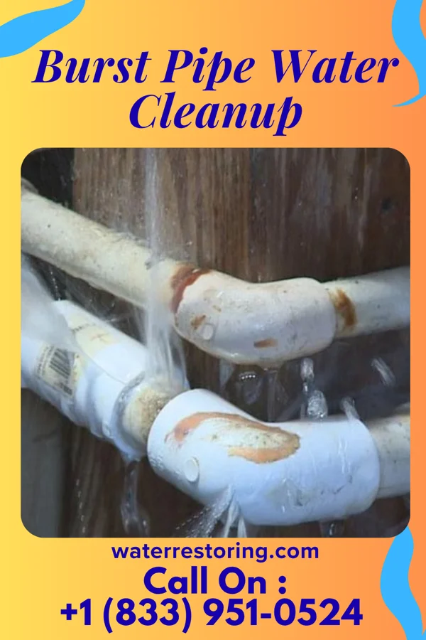 Burst Pipe Water Cleanup in Taylor Mill, KY