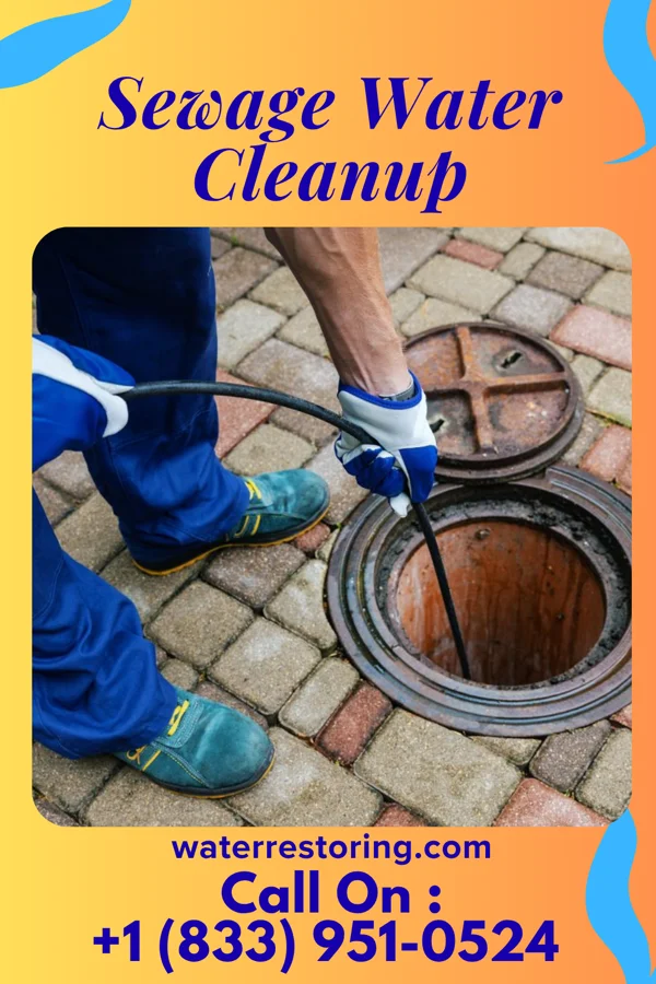 Sewage Water Cleanup in Taylor Mill, KY